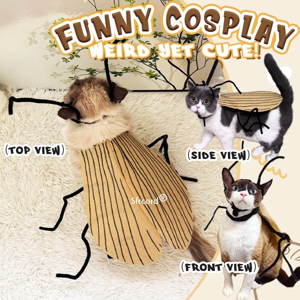 Sfrcord® Fun DIY Cat-Roach Costume